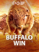 Buffalo Win Game Terbaru: Review, RTP, dan Akses Main